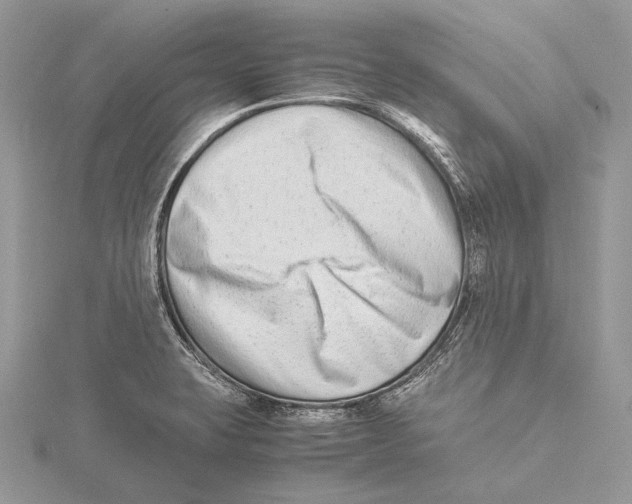 X0000115541423200912041001