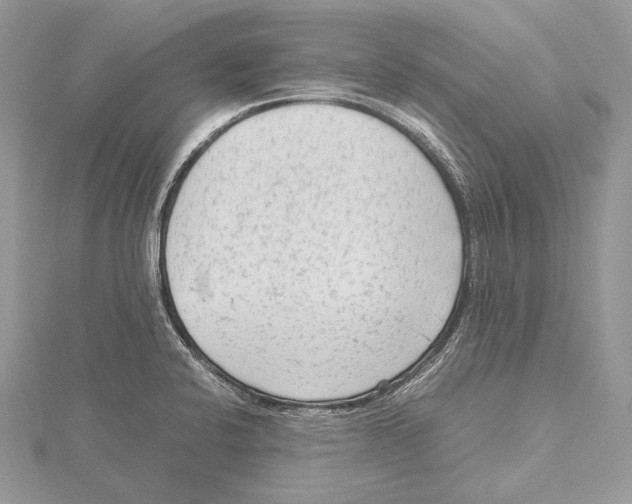 X0000115541424200912041001