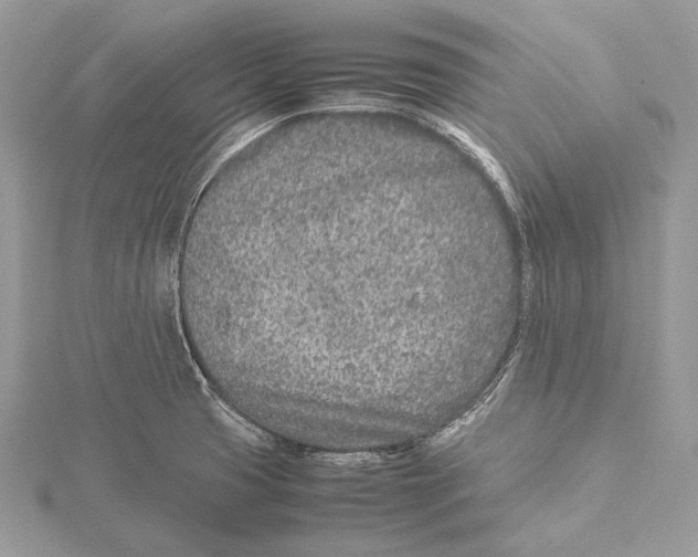 X0000115541425200912041001