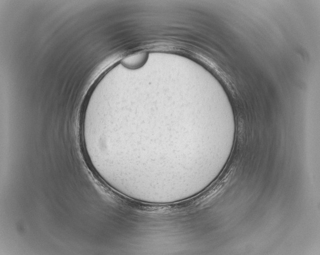 X0000115541426200912041001