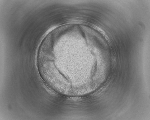 X0000115541427200912041001