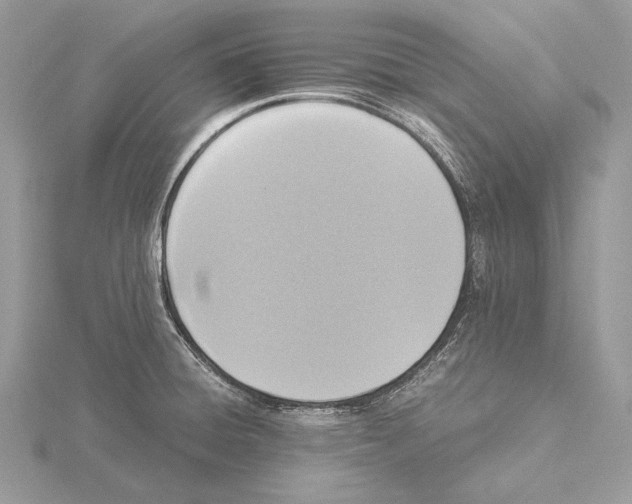 X0000115541428200912041001