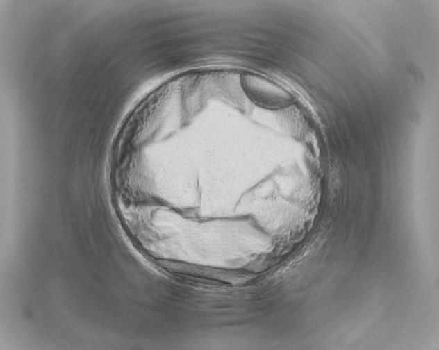 X0000115541429200912041001