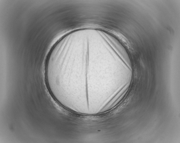 X0000115541430200912041001