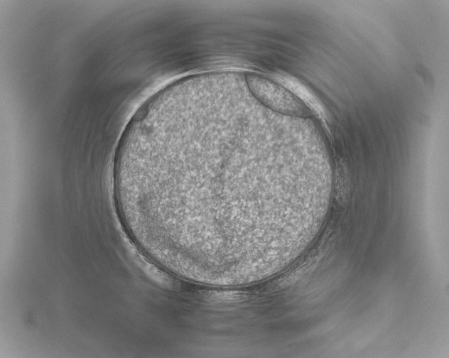 X0000115541431200912041001