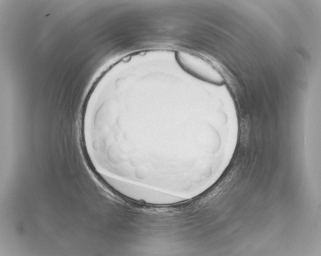 X0000115541432200912041001