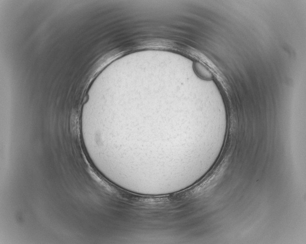 X0000115541433200912041001