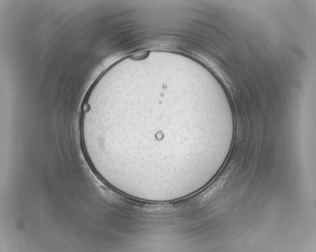 X0000115541434200912041001