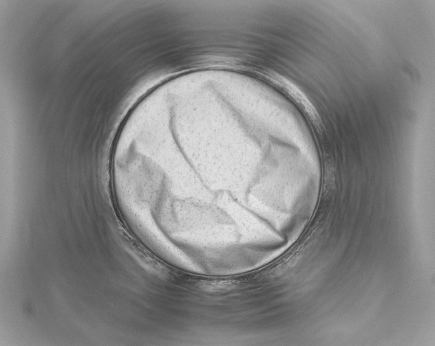 X0000115541435200912041001