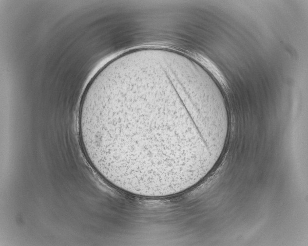 X0000115541436200912041001