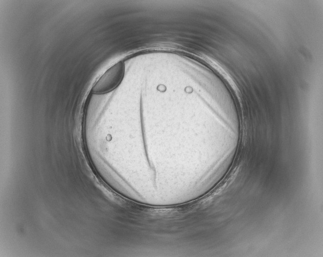 X0000115541437200912041001