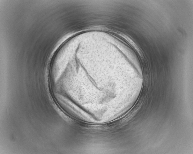 X0000115541438200912041001