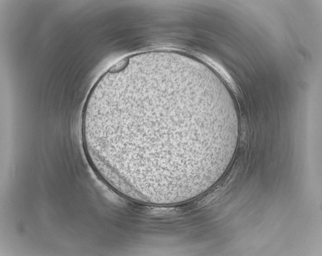 X0000115541439200912041001