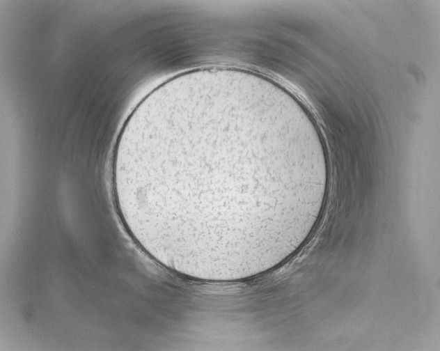 X0000115541440200912041001