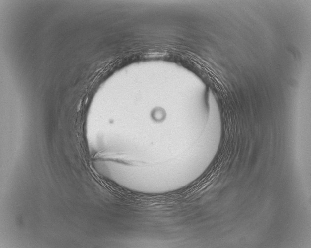 X0000115541441200912041001