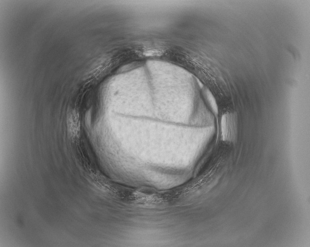 X0000115541443200912041001