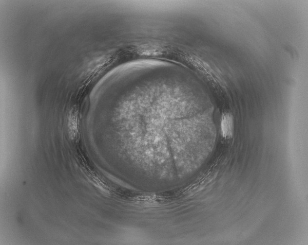 X0000115541444200912041001