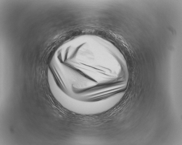 X0000115541445200912041001