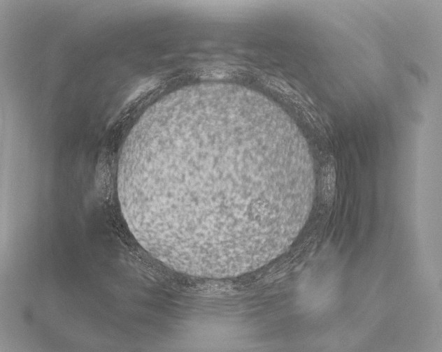 X0000115541446200912041001