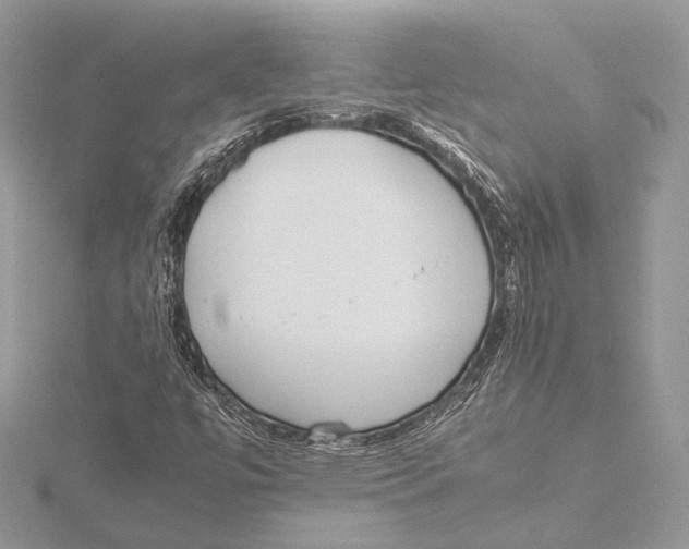 X0000115541447200912041001