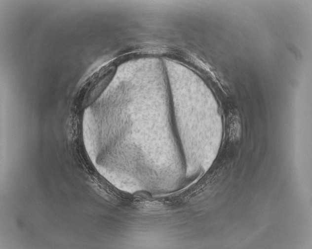 X0000115541448200912041001