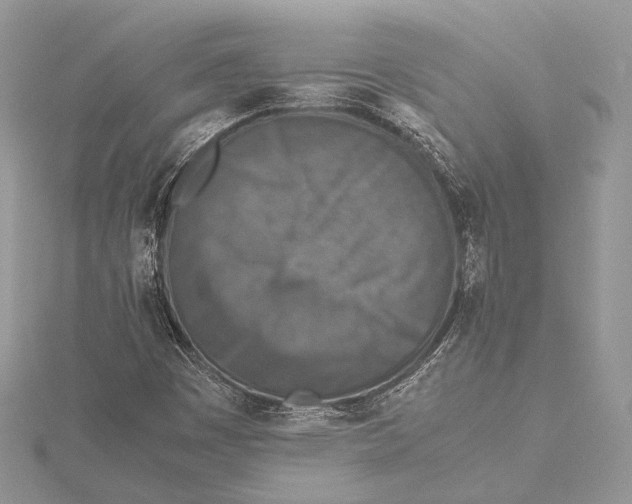 X0000115541449200912041001