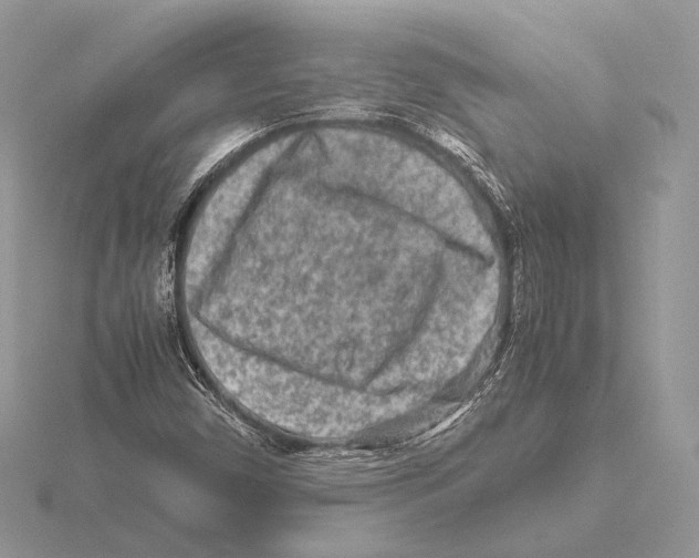 X0000115541450200912041001