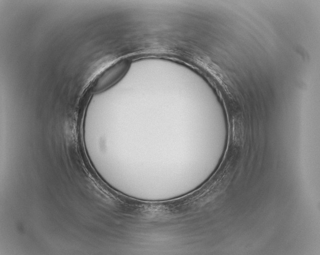 X0000115541452200912041001