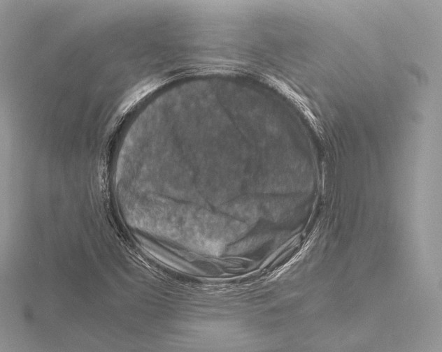 X0000115541453200912041001