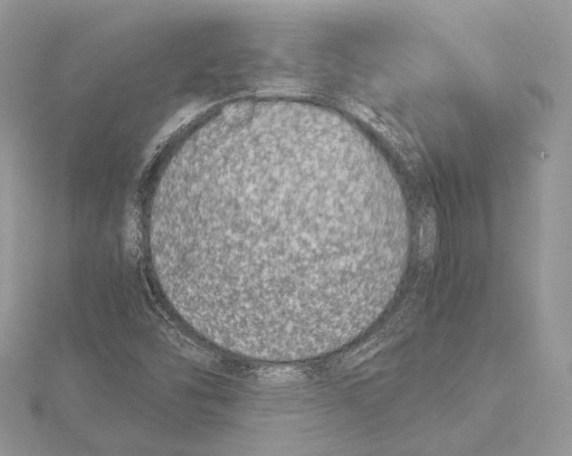 X0000115541454200912041001