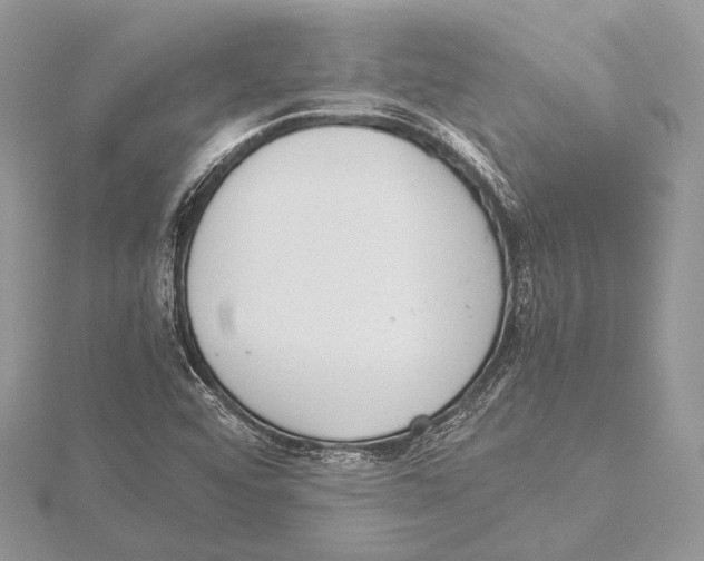 X0000115541456200912041000