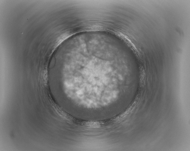 X0000115541457200912041000