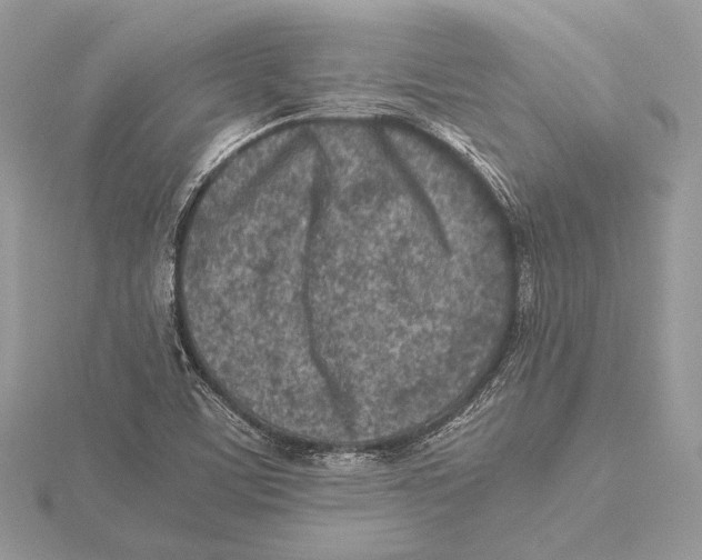 X0000115541459200912041000