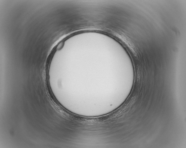 X0000115541460200912041000