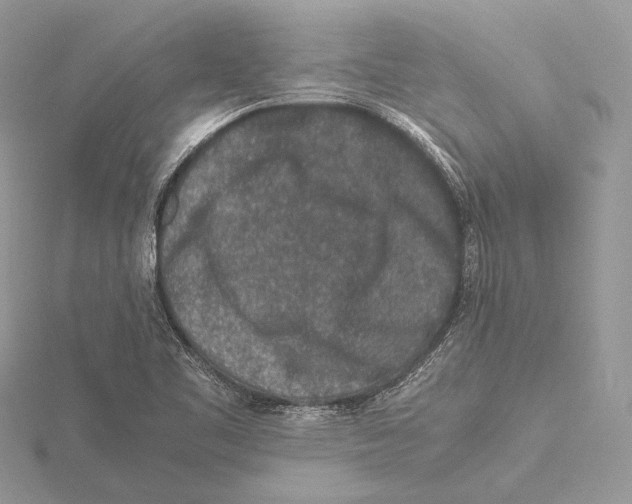 X0000115541461200912041000