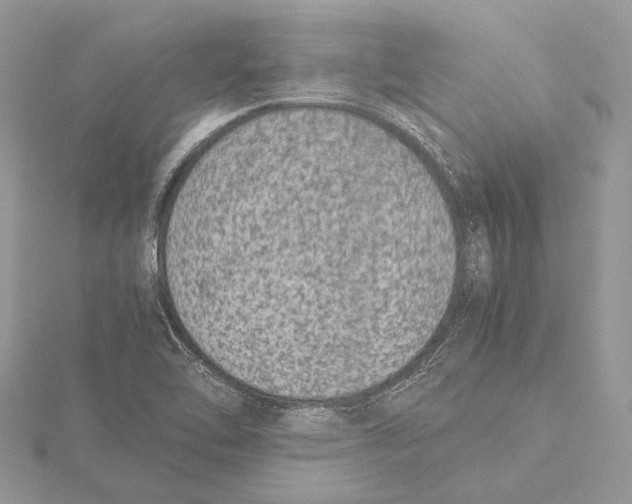 X0000115541462200912041000