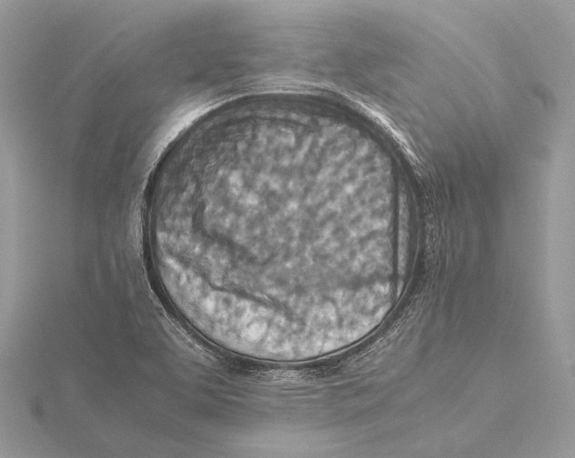 X0000115541463200912041000