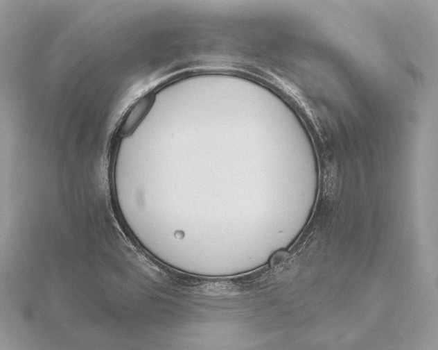 X0000115541464200912041000