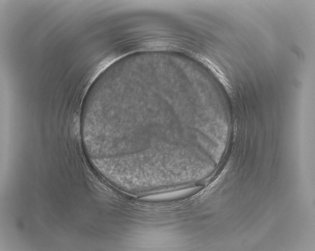 X0000115541465200912041000