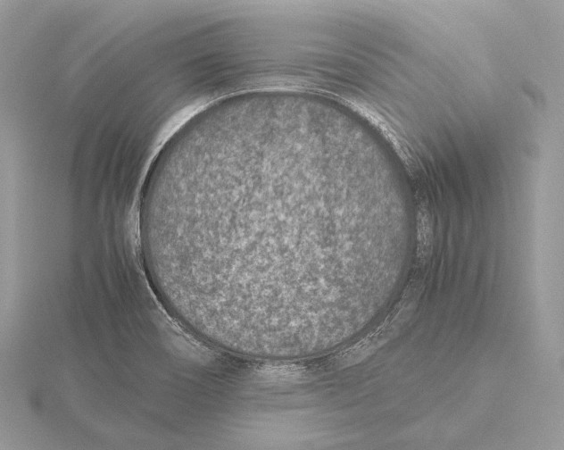 X0000115541466200912041000