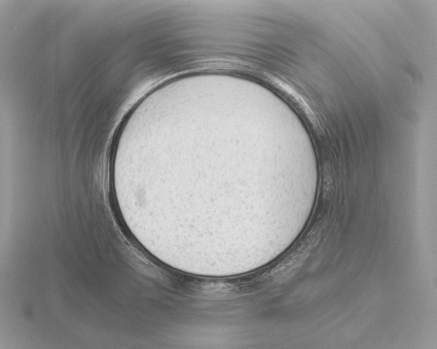 X0000115541467200912041000