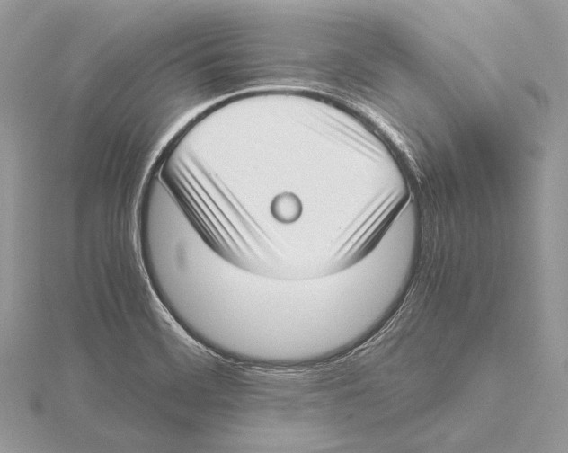 X0000115541468200912041000