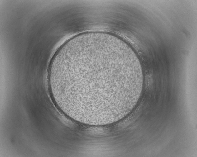 X0000115541470200912041000