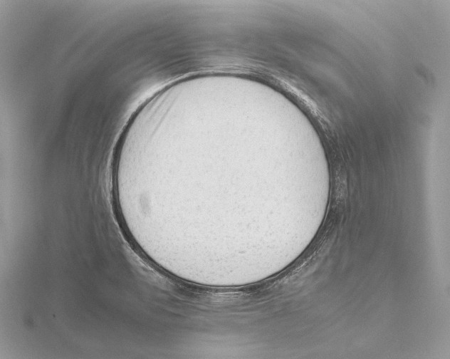 X0000115541471200912041000