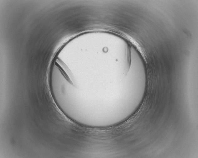 X0000115541472200912041000