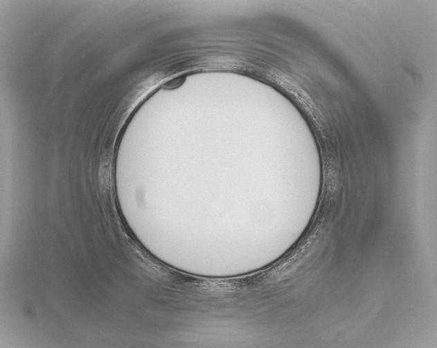 X0000115541473200912041000