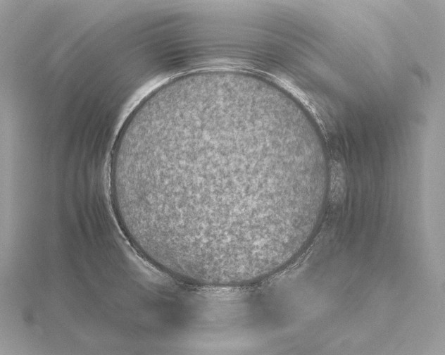 X0000115541474200912041000