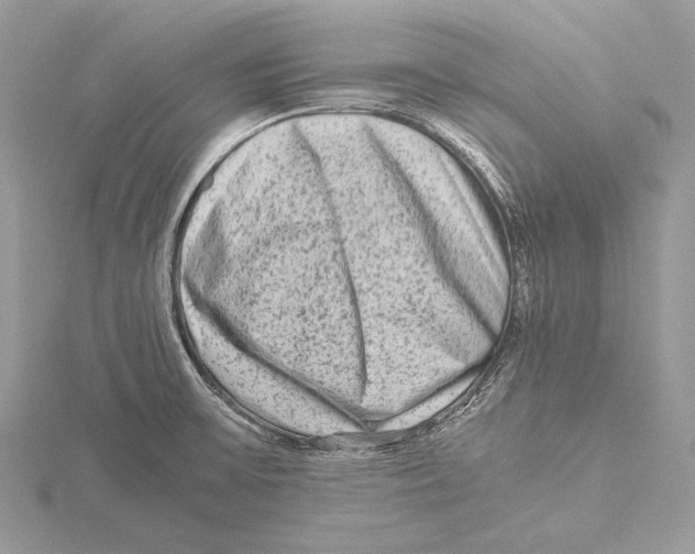 X0000115541475200912041000