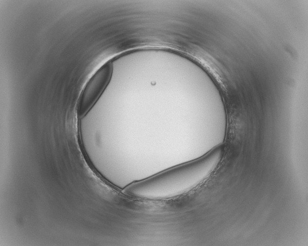 X0000115541476200912041000