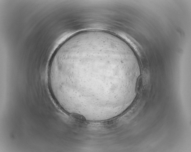 X0000115541477200912041000